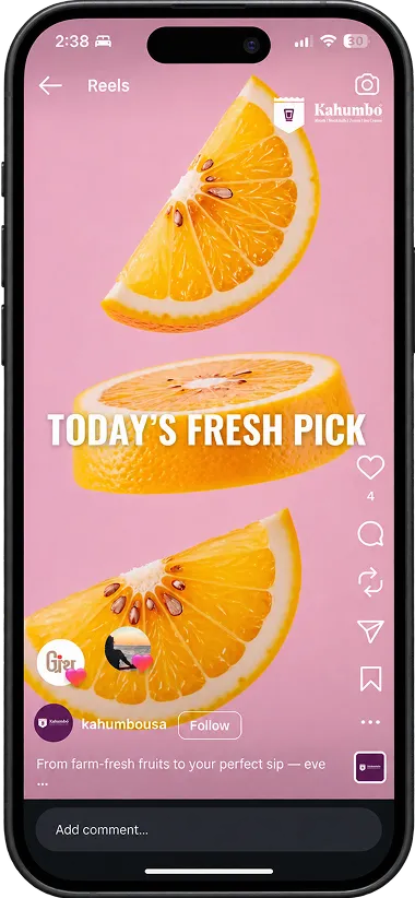Instagram reel — today's fresh pick